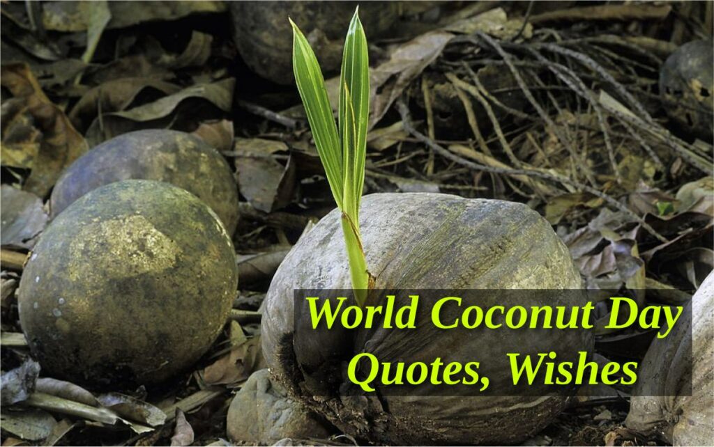 World Coconut Day Quotes